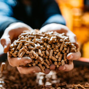 Holzpellets 15 kg Sackware Antistaub-Pellets